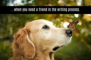 Photo of a dog with a butterfly on its nose with the caption "...when you need a friend in the writing process."